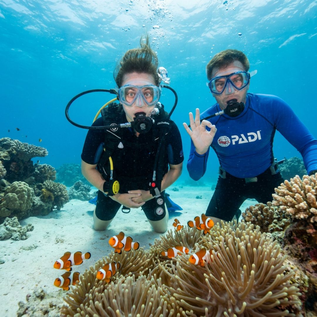 Discover-scuba at Nemo Reef