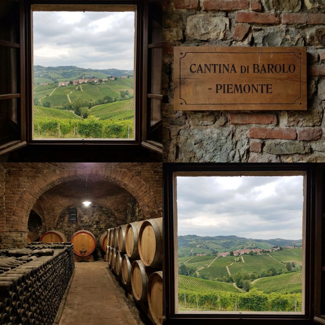 Barolo cellars in Piedmont