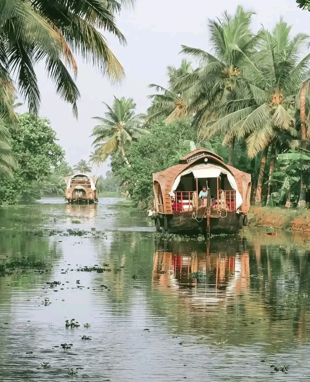 Kochi Fort & Toddy Shop Food Walk
