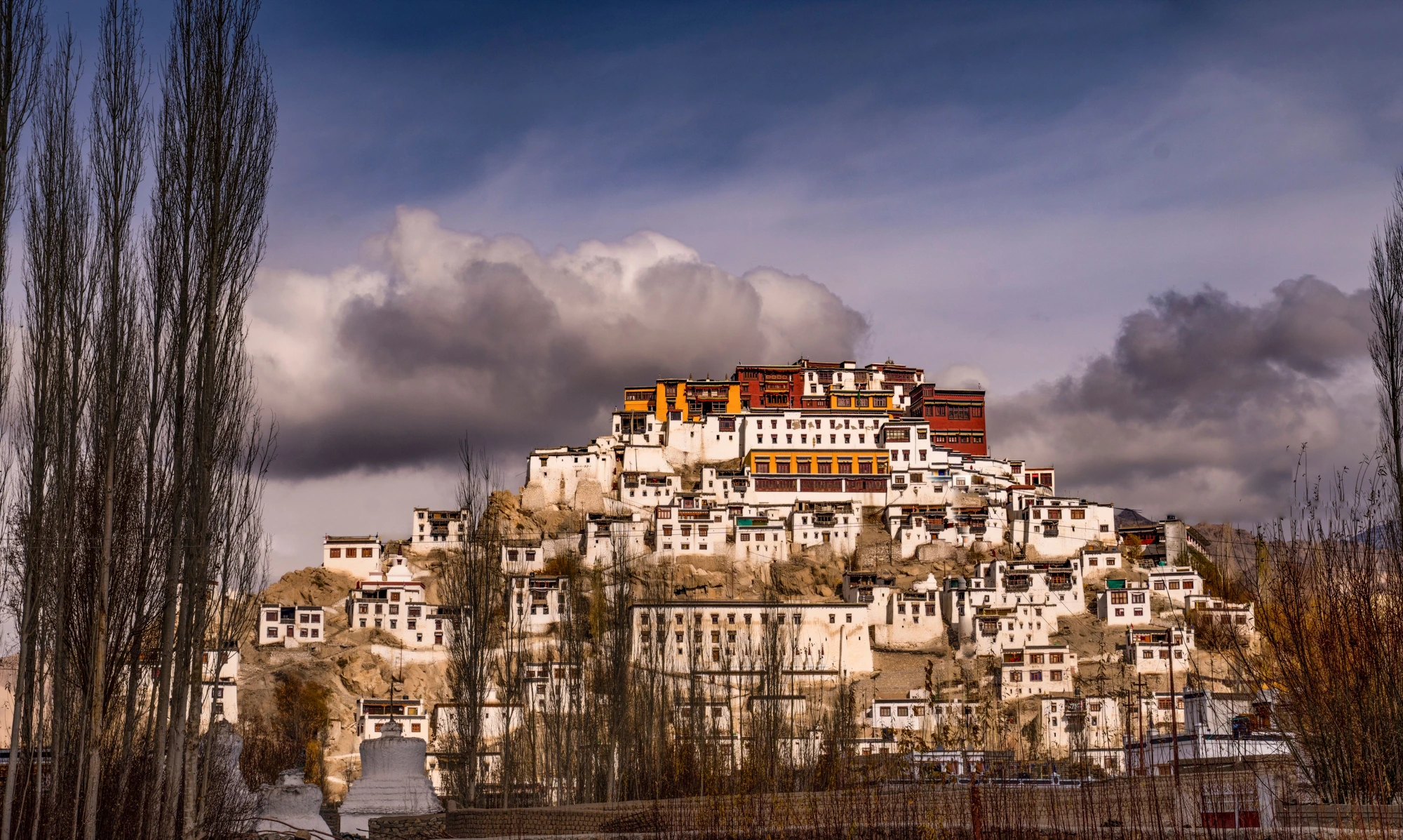 Ladakh Monastery Circuit with a Monk