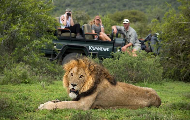 Kwandwe Private Reserve