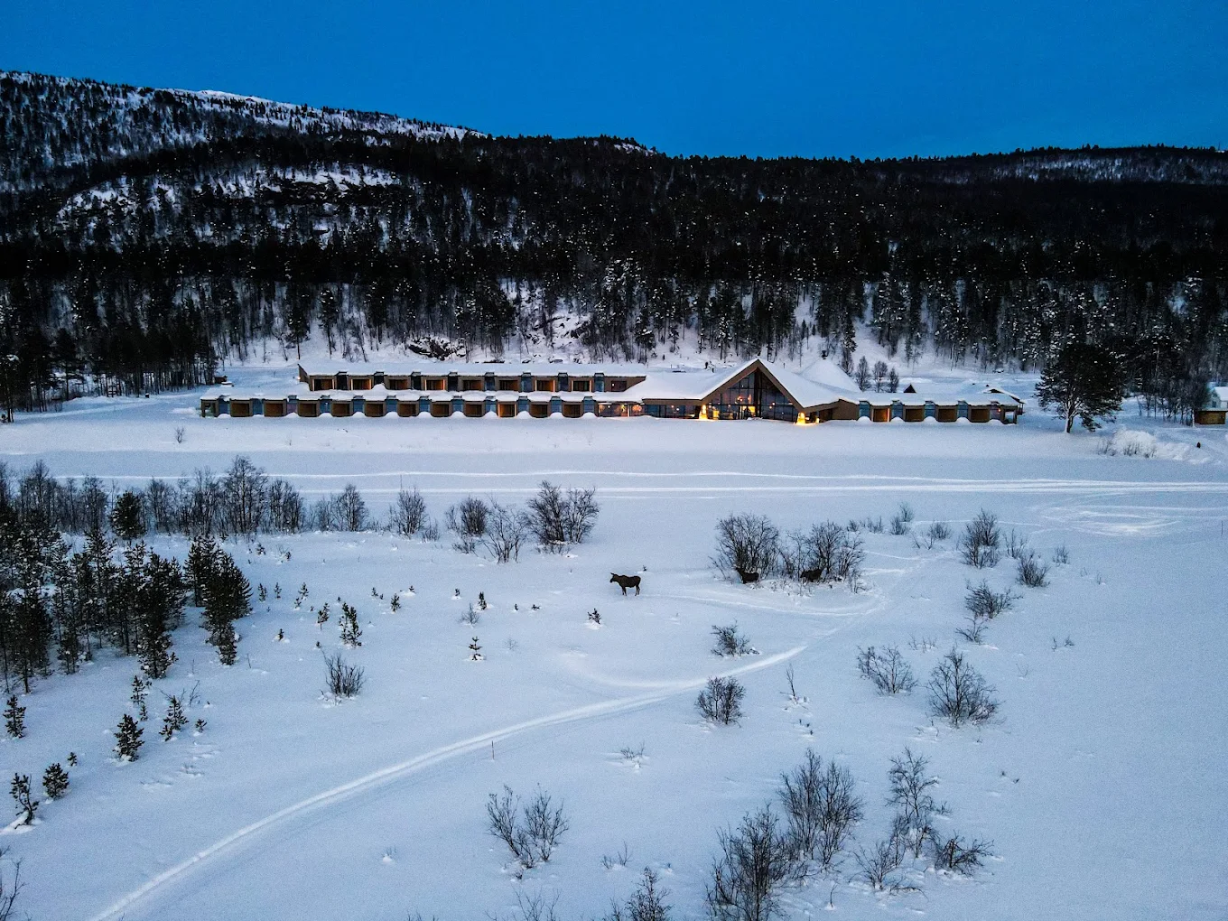 Sorrisniva Igloo Hotel